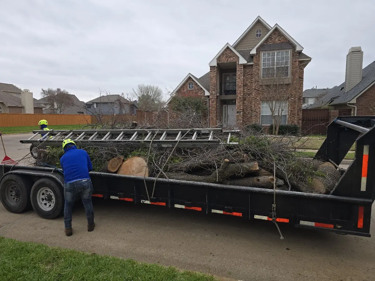 Expert Tree Pest Control with proper safety equipment in Hardwick